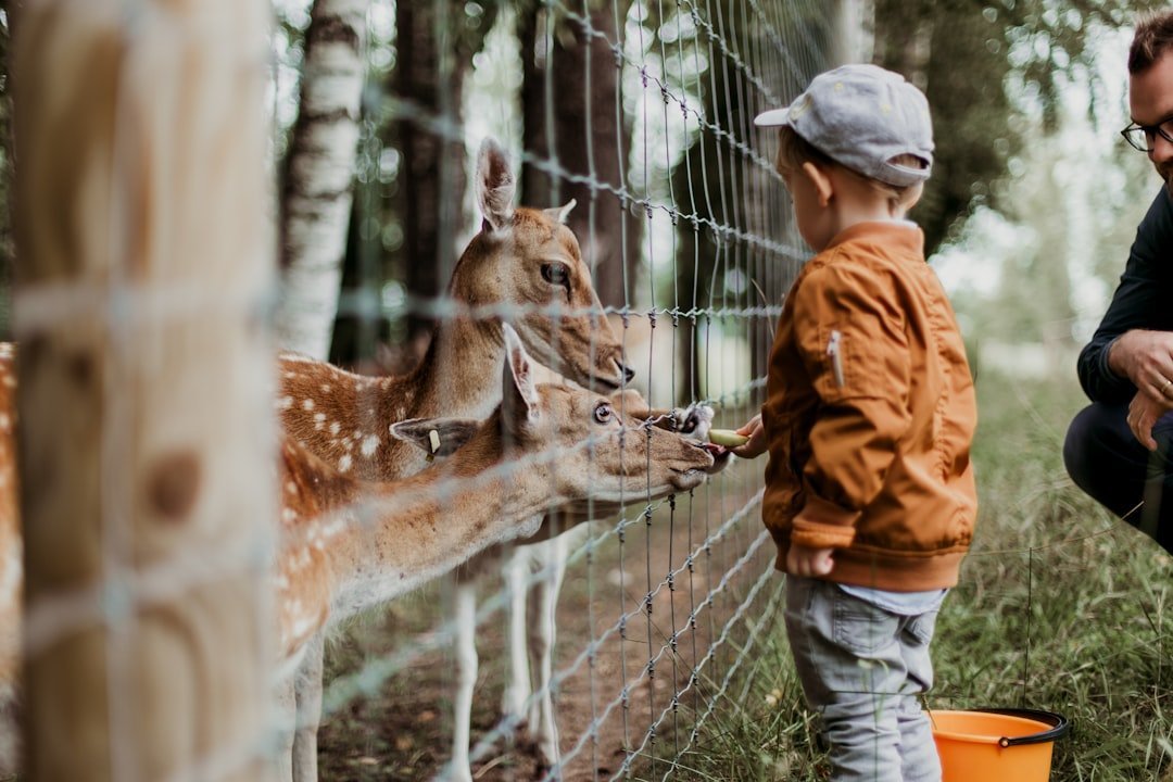 The Yearling by Marjorie Kinnan Rawlings (Image Credits: Unsplash)