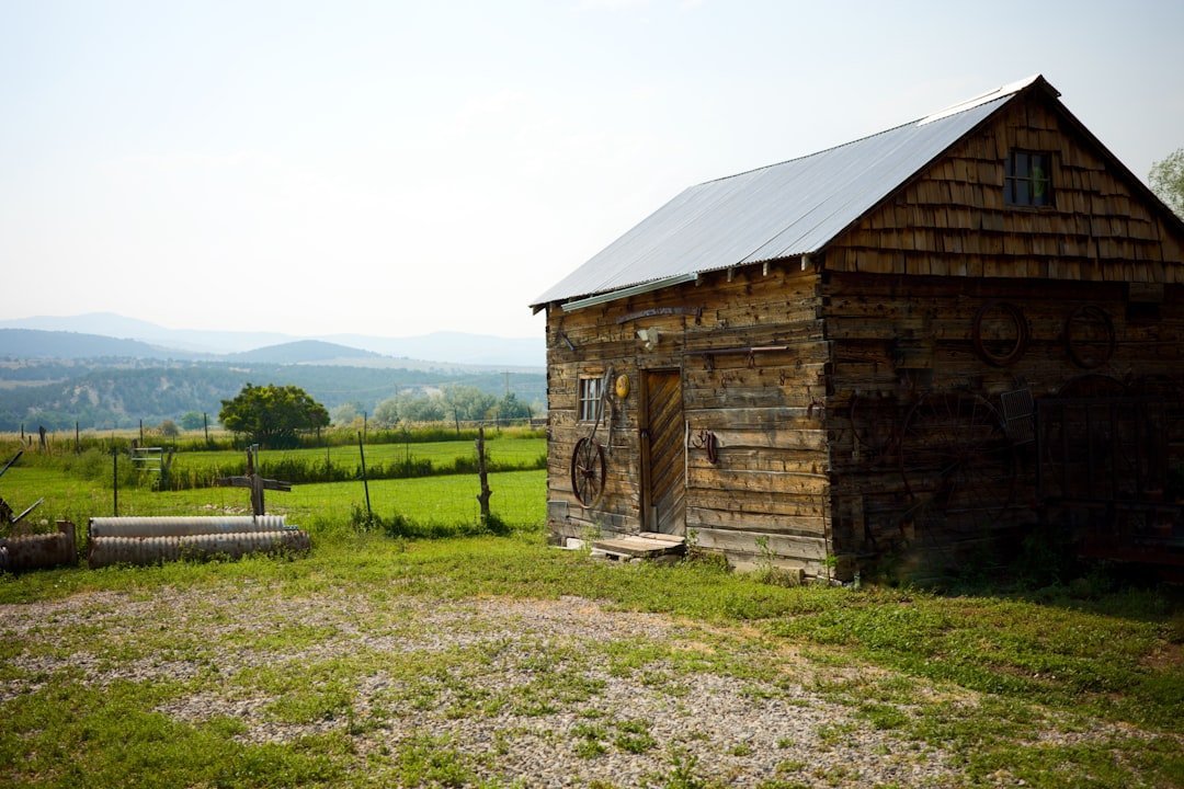 My Ántonia by Willa Cather (Image Credits: Unsplash)