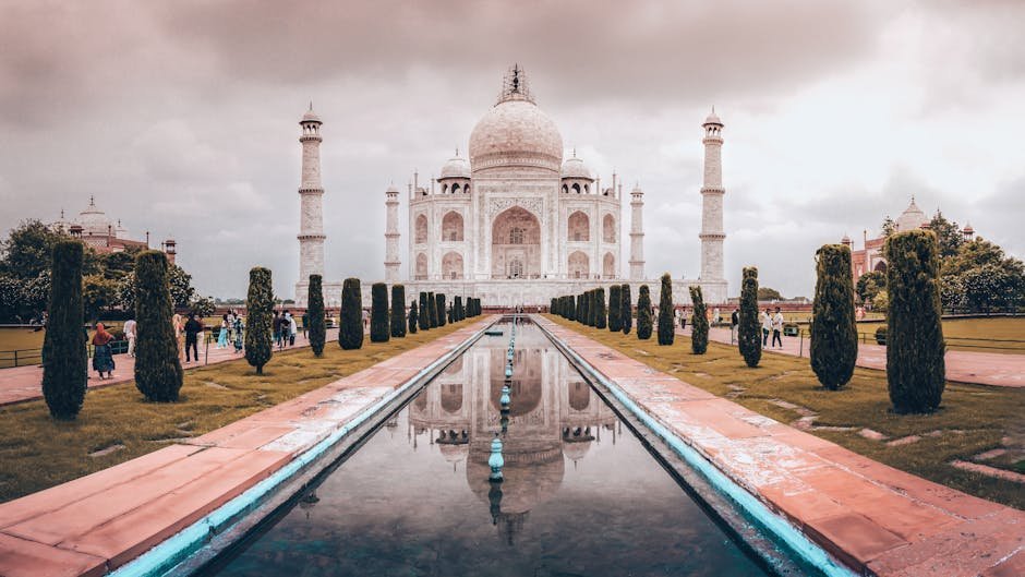 A Final Reflection: Creativity Without Borders (Image Credits: Pexels)