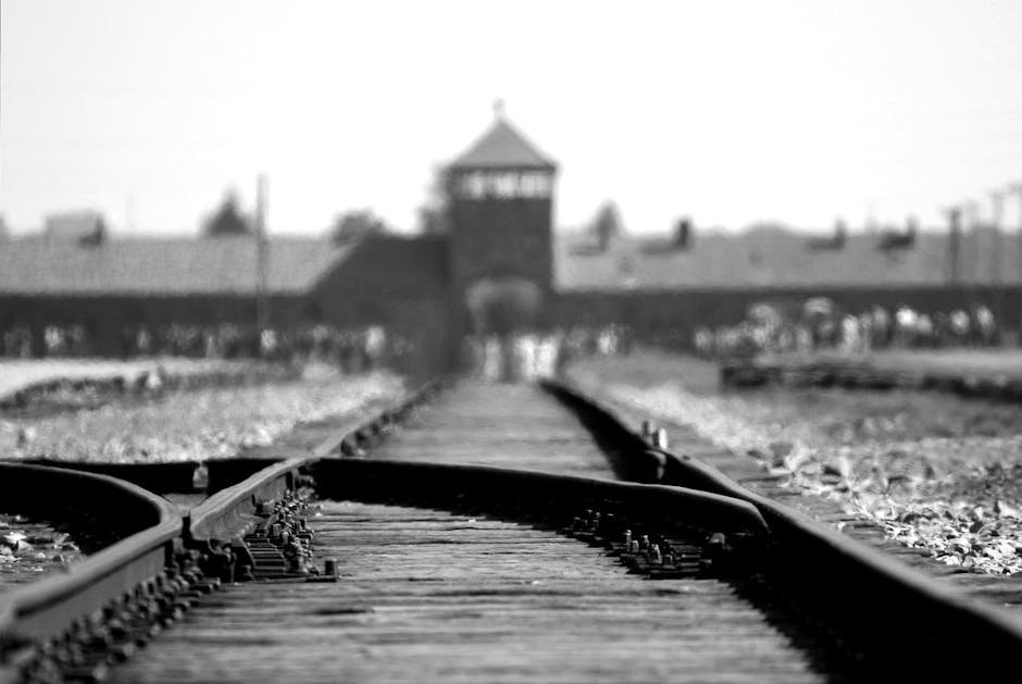 6. World War II and the Holocaust (1939–1945): A World Remade (Image Credits: Pexels)