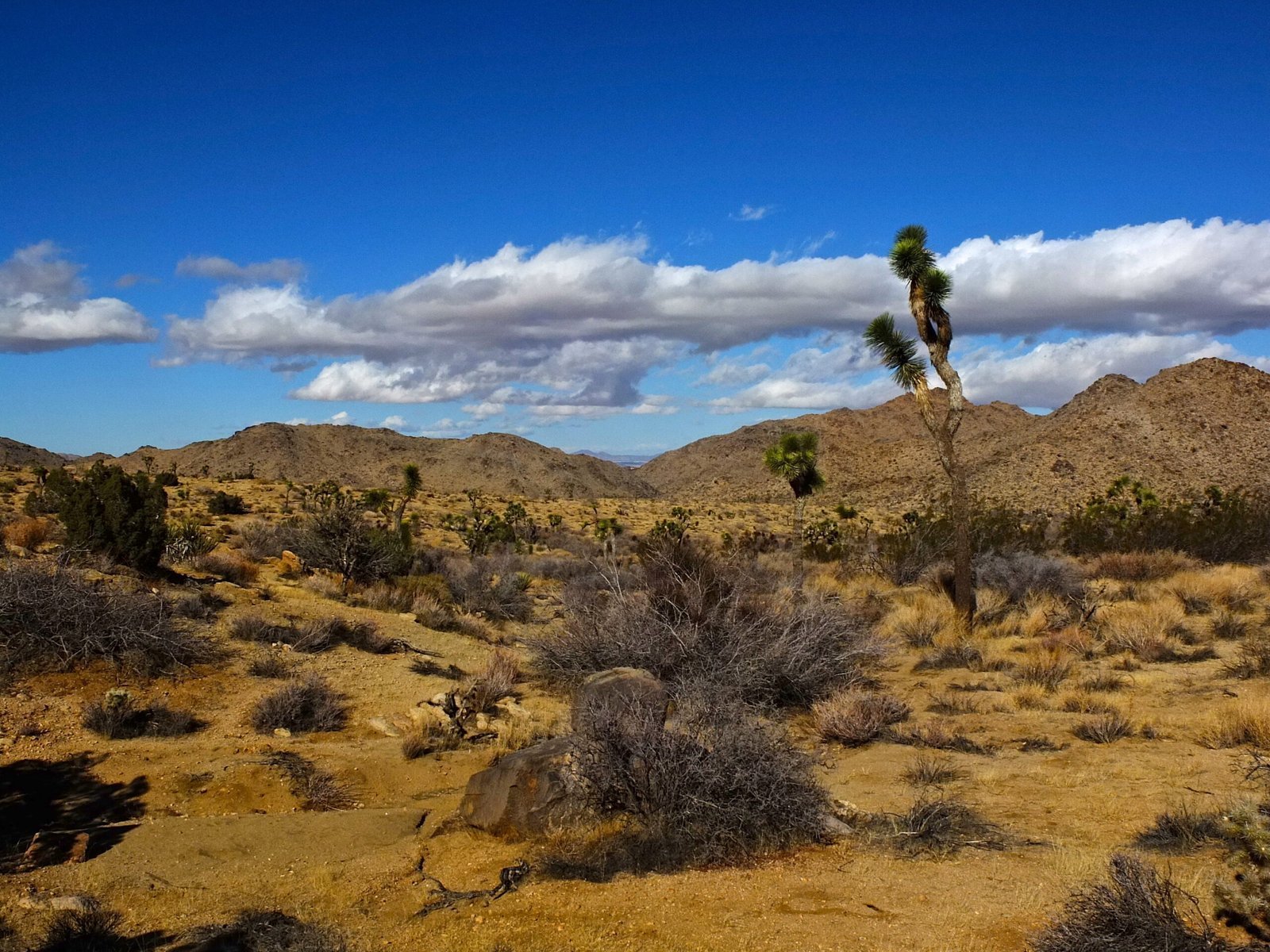 Staying Safe in Desert Terrain (Desert Hike, CC BY-SA 2.0)