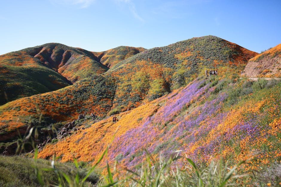 Conservation Guidelines: Protect What You Came to See (Image Credits: Pexels)