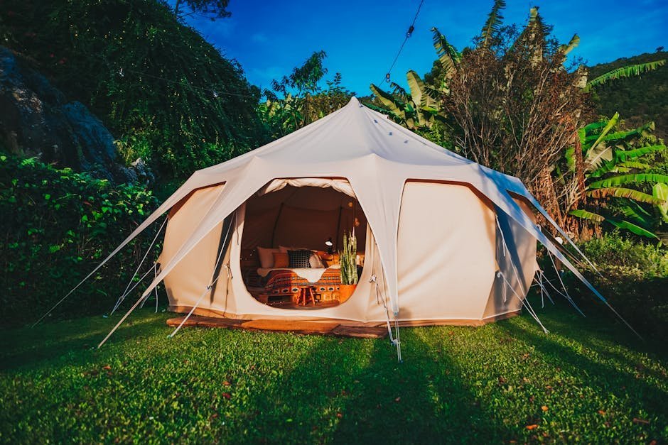 Voyagers Landing in Nevada City, California (Image Credits: Pexels)