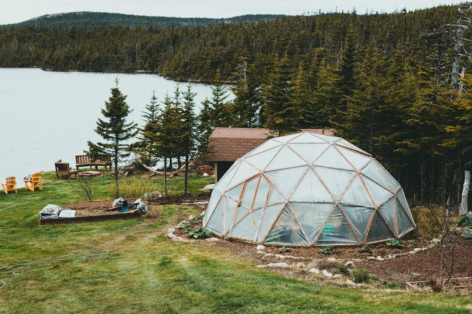 Klarhet in Lutsen, Minnesota (Image Credits: Pexels)