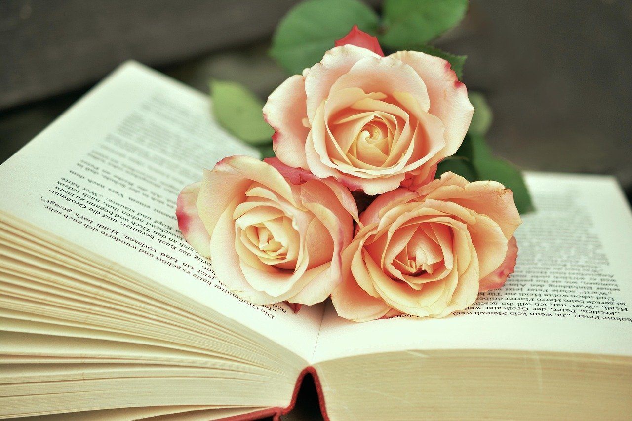 The Taming of the Shrew Became a 90s Teen Comedy (Image Credits: Pixabay)