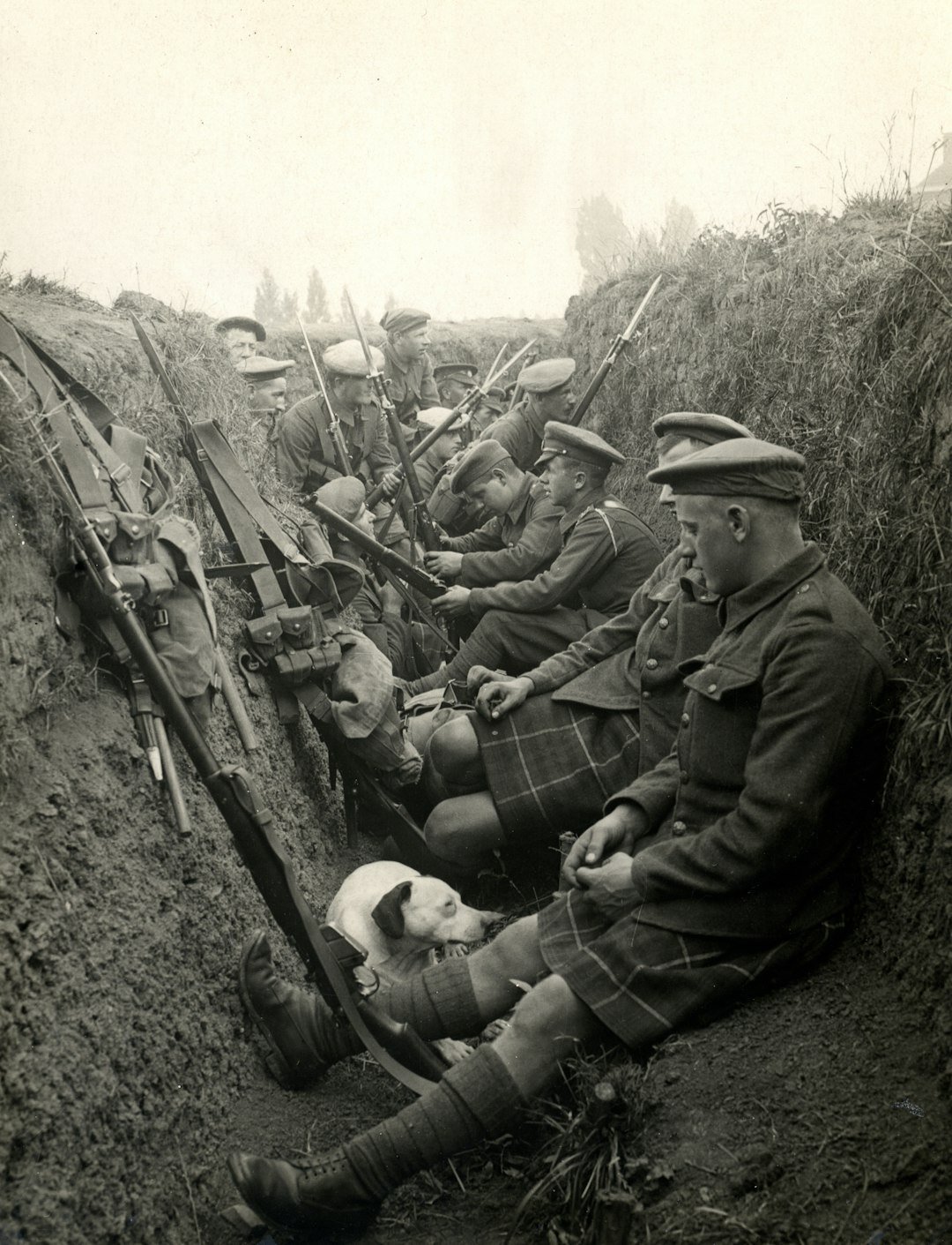 World War II (1939-1945) (Image Credits: Unsplash)