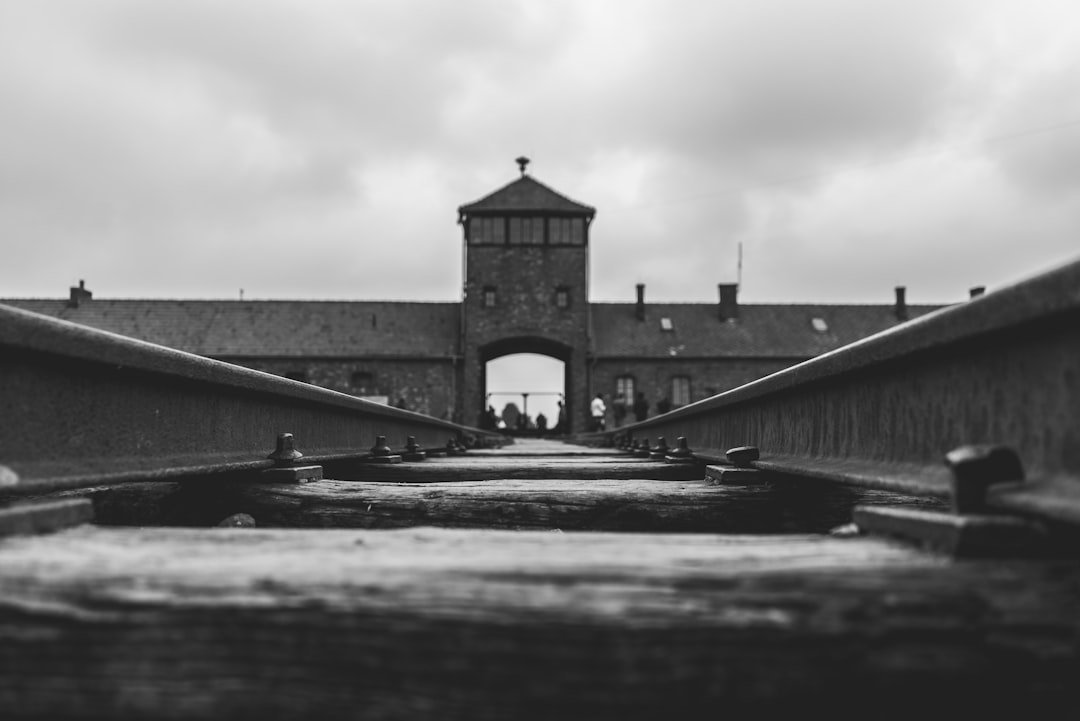 The Book Thief by Markus Zusak: Nazi Germany Seen Through the Eyes of Death (Image Credits: Unsplash)
