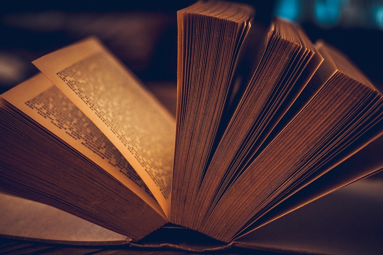 Why Stories Still Move Us: The Neuroscience of Narrative (Image Credits: Pixabay)