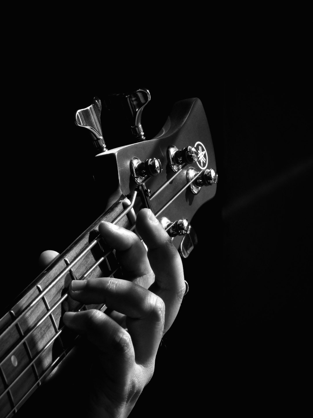 Chuck Rainey - The Bass Player Who Held Everyone's Music Together (Image Credits: Unsplash)
