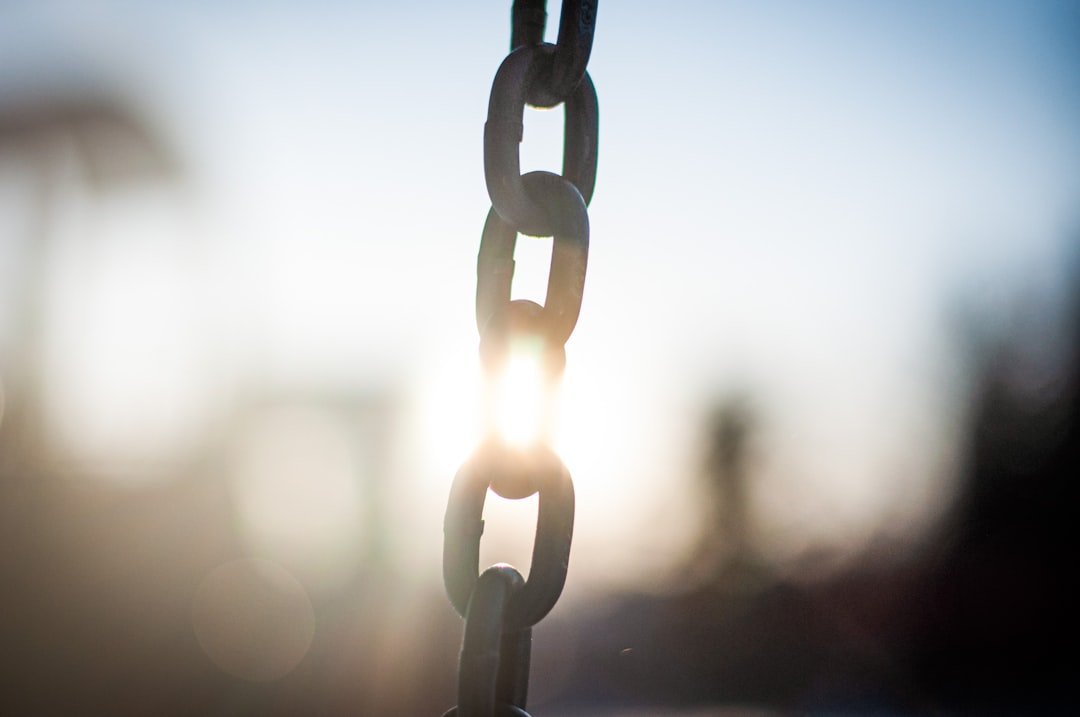 Personal Freedom (Image Credits: Unsplash)