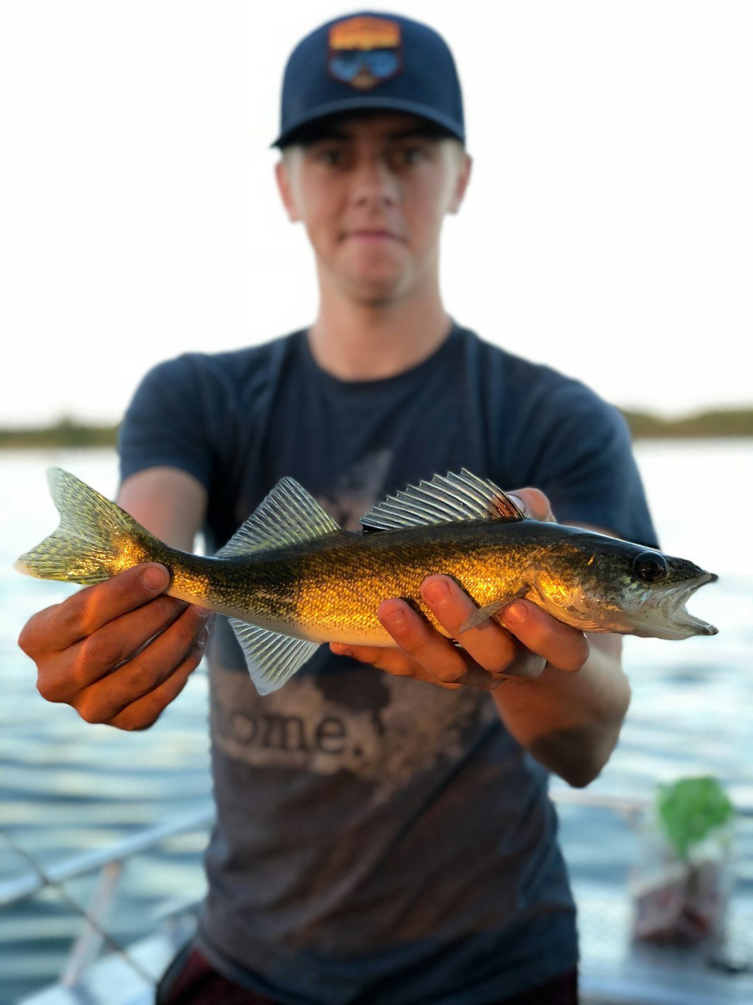 Wine and Walleye Festival (Image Credits: Unsplash)