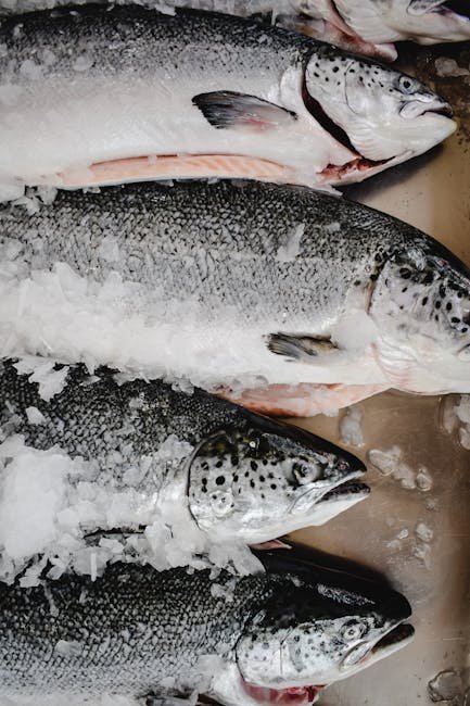 Issaquah Salmon Days Festival (Image Credits: Pexels)
