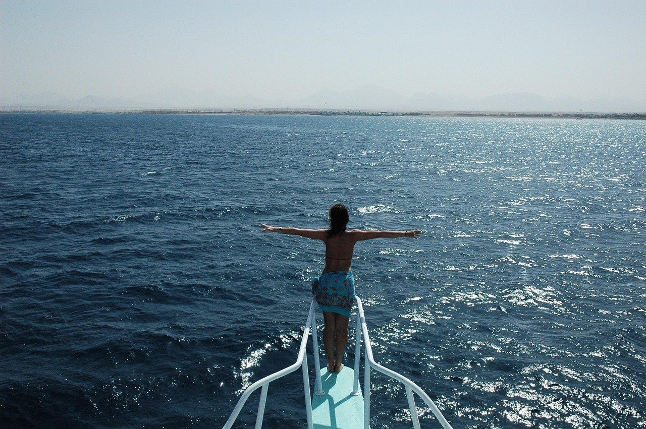 “I’m King of the World!” from Titanic (1997) (Image Credits: Pixabay)
