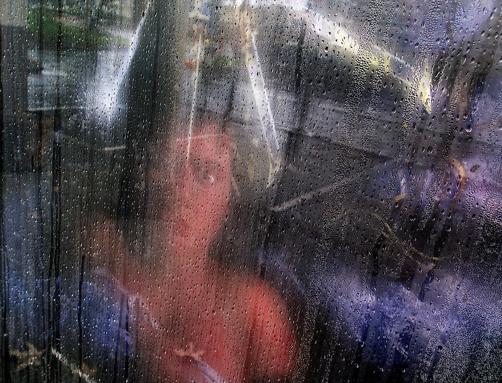 The People Under the Stairs (1991) (Robert Couse-Baker, Flickr, CC BY 2.0)