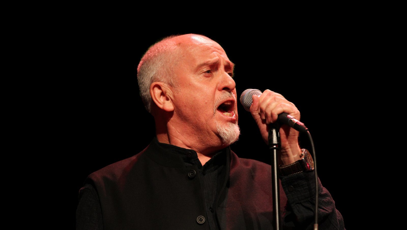 Peter Gabriel – "Sledgehammer" (1986) (Skoll Awards for Social Entrepreneurship Ceremony, CC BY 2.0)