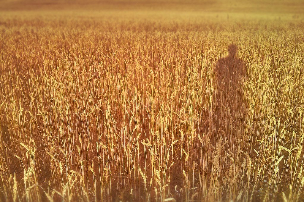 Holden Caulfield's Psychotic Break in The Catcher in the Rye (sagesolar, Flickr, CC BY 2.0)