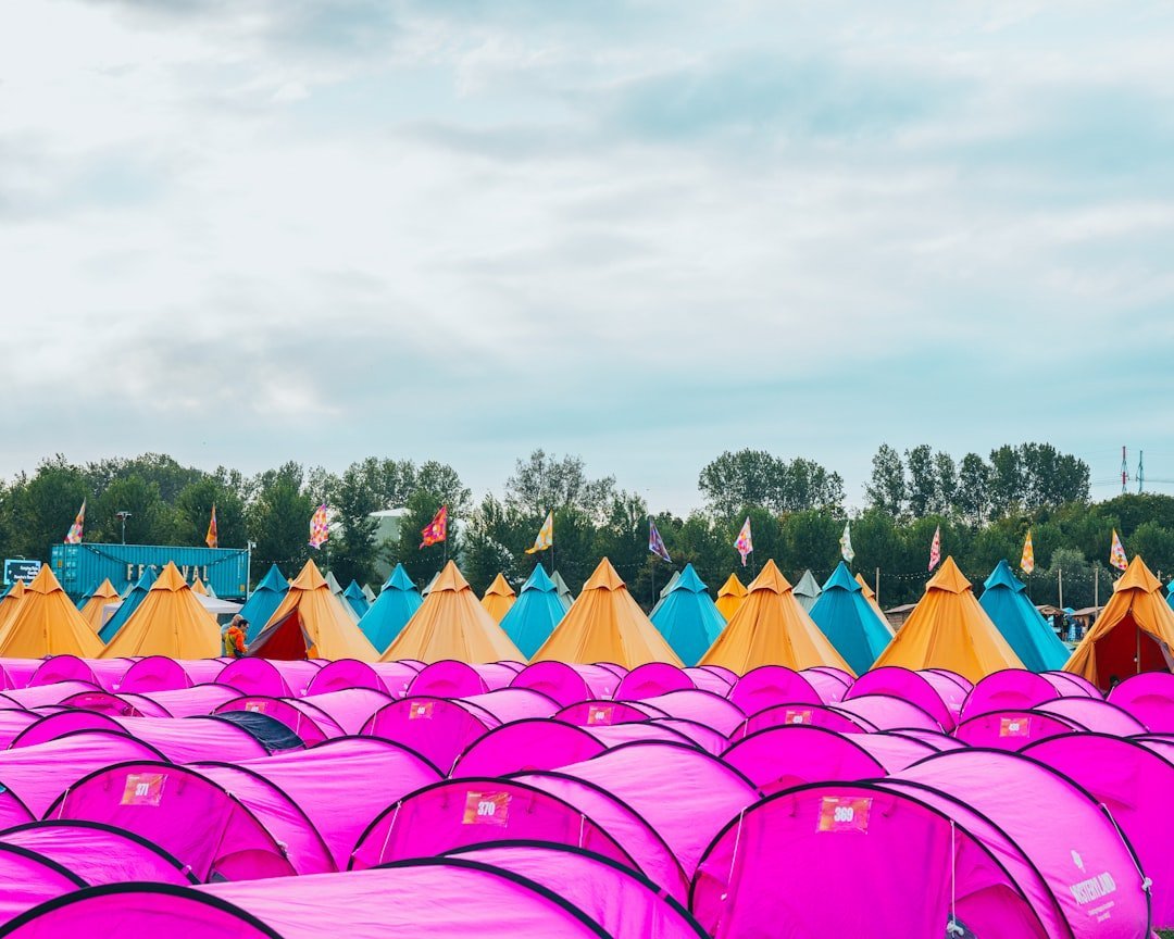 8. Bonnaroo Music and Arts Festival – Manchester, Tennessee (Image Credits: Unsplash)