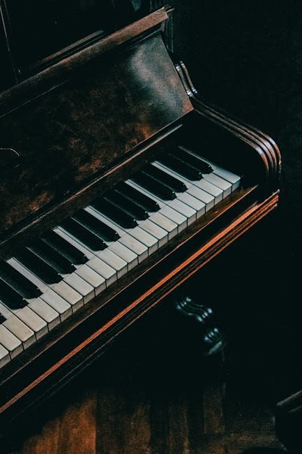 Debussy: Clair de Lune (from Suite bergamasque) (Image Credits: Pexels)