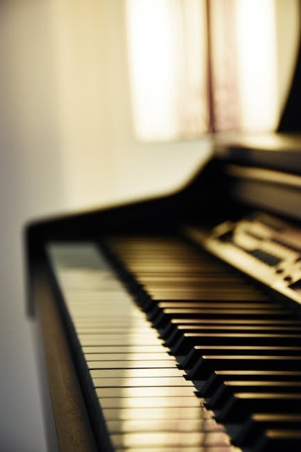 Arvo Pärt: Spiegel im Spiegel (Image Credits: Pexels)