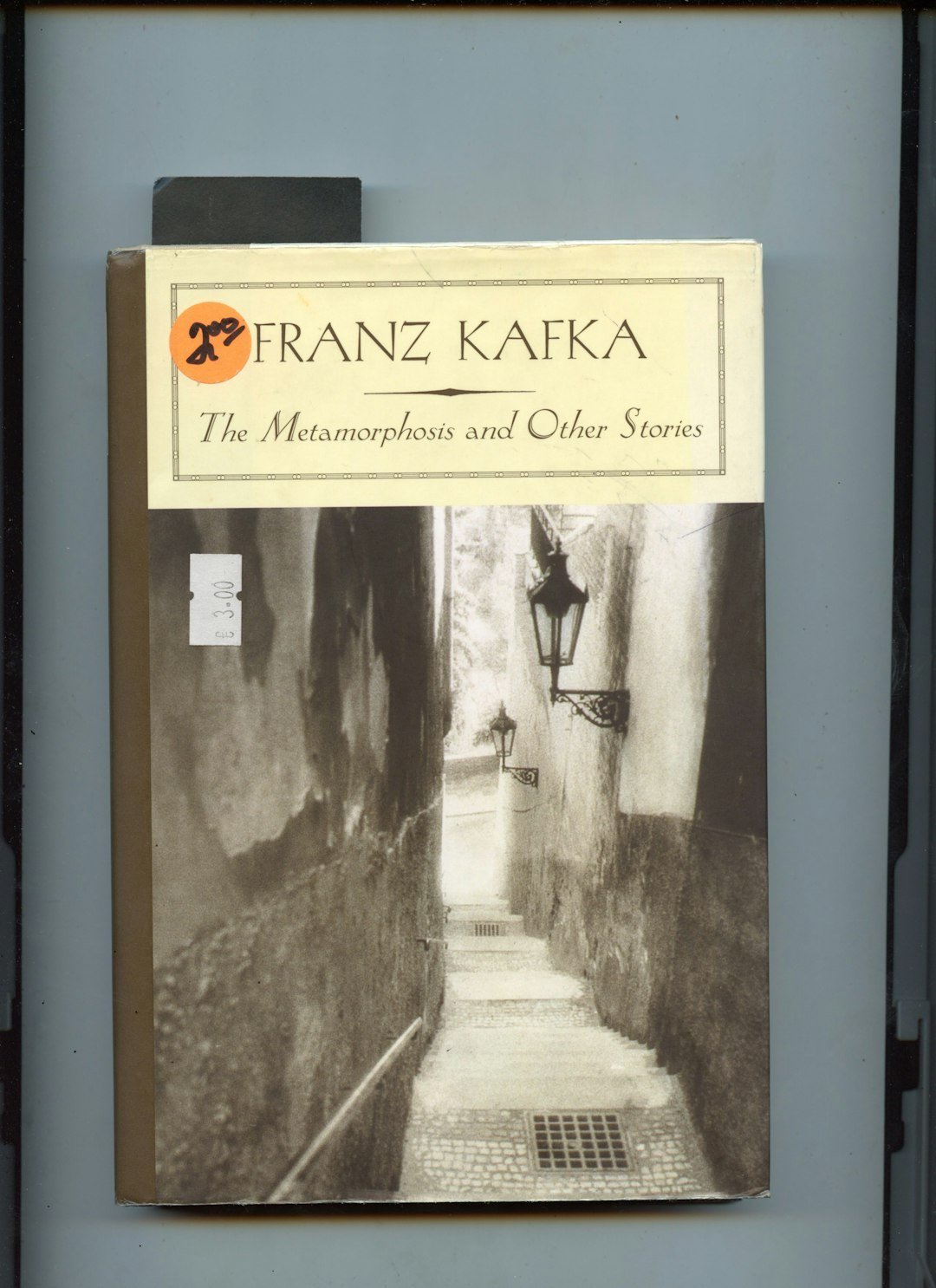 Gregor's Imagined Metamorphosis: Franz Kafka's The Metamorphosis (Image Credits: Unsplash)