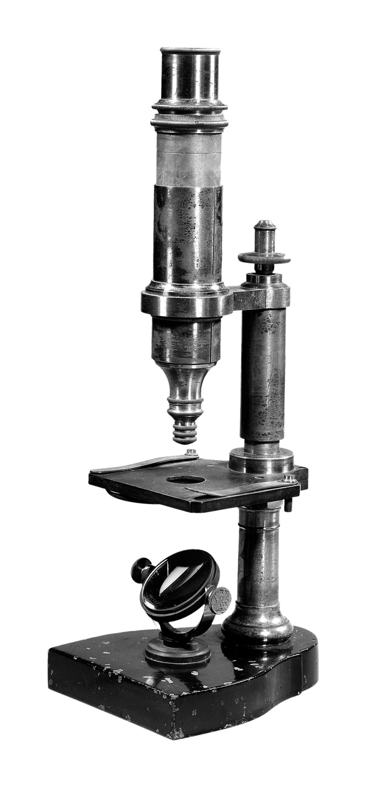 Germ Theory and Antiseptics: The Revolution in Medicine (CC BY 4.0)