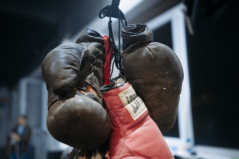 Theodore Roosevelt (Bonus): Judo at the White House (Image Credits: Pexels)
