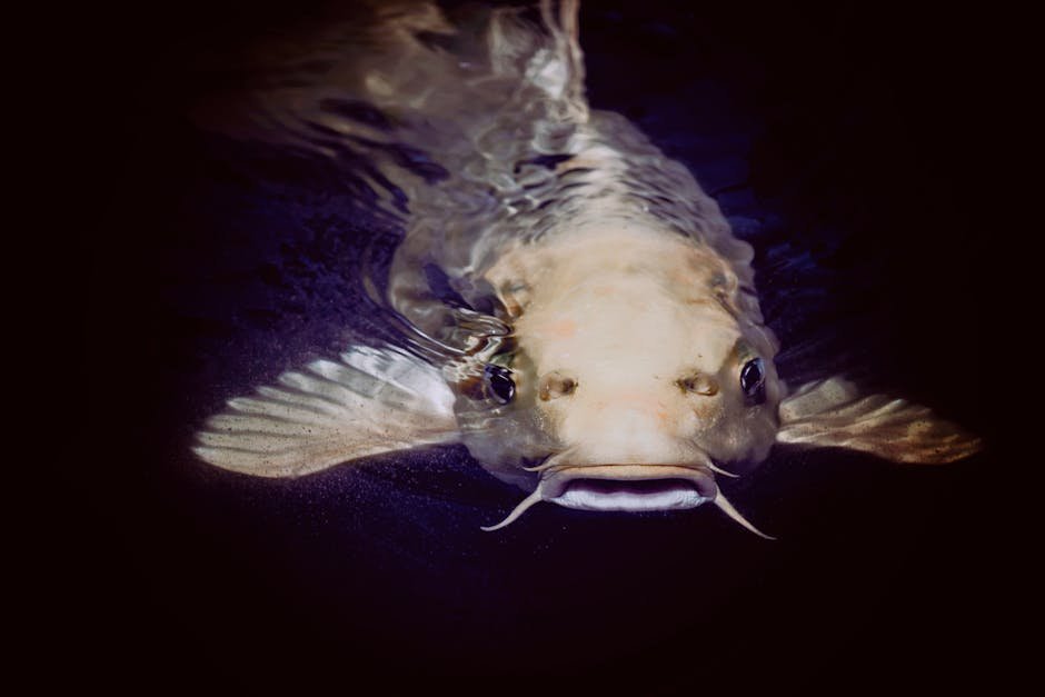 14. "Catfish" (as Deception) - Catfish Documentary (2010) (Image Credits: Pexels)