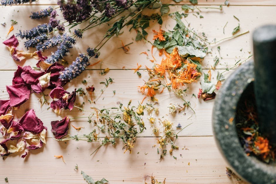 Maya Healers' Forest Pharmacy (Image Credits: Pexels)