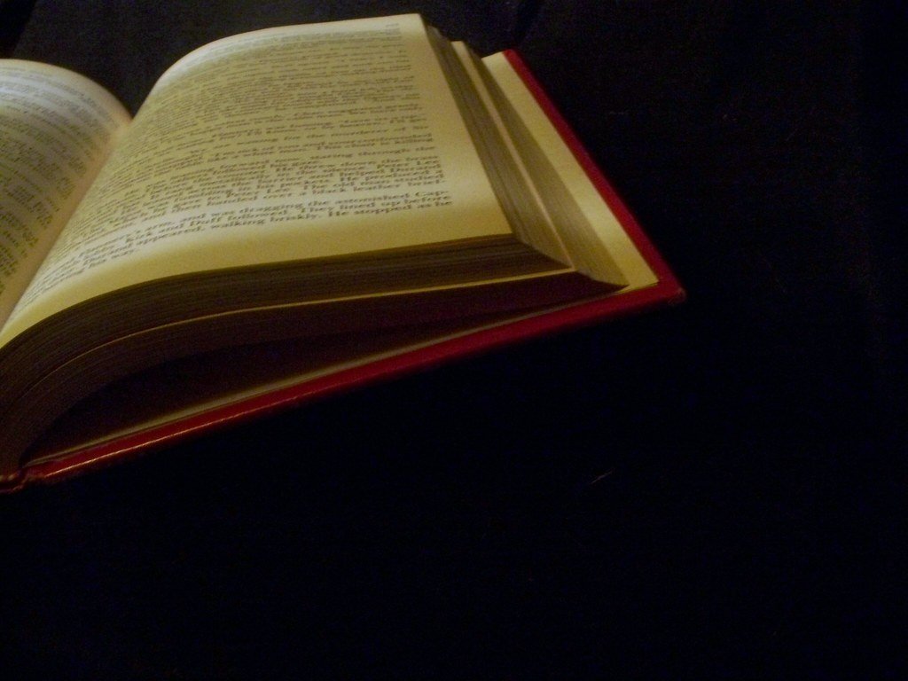 The Enduring Case for Literary Freedom (Jo Naylor, Flickr, CC BY 2.0)