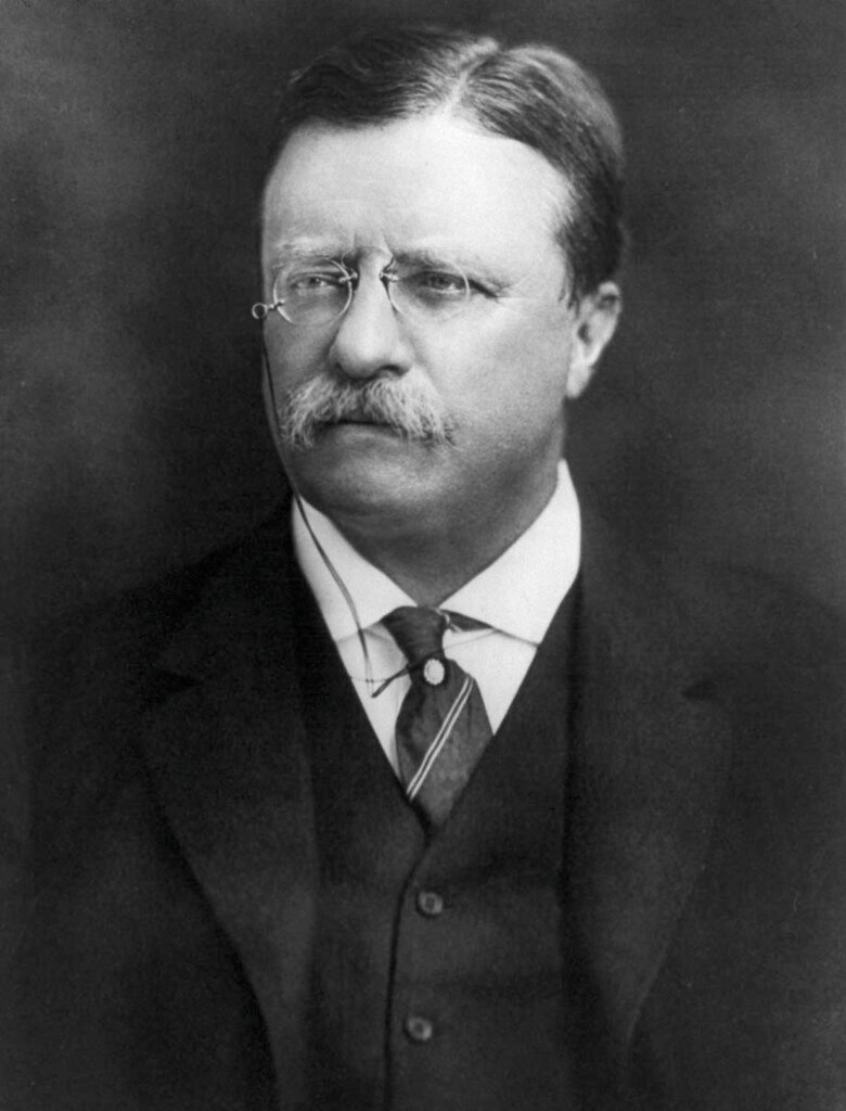 Theodore Roosevelt (Wesley Fryer, Flickr, CC BY-SA 2.0)