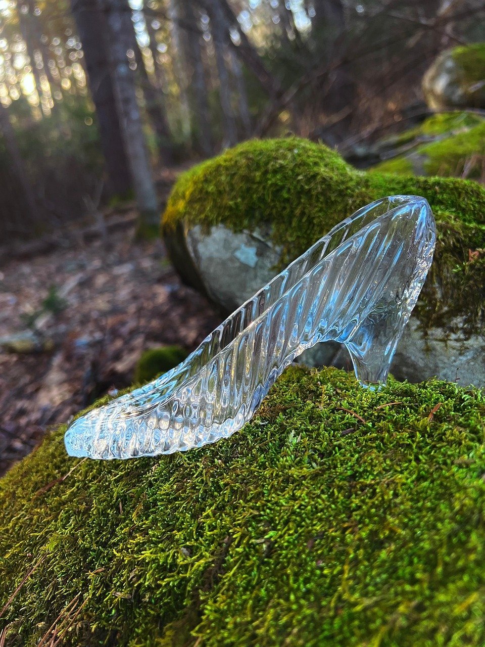 Cinderella (Image Credits: Pixabay)