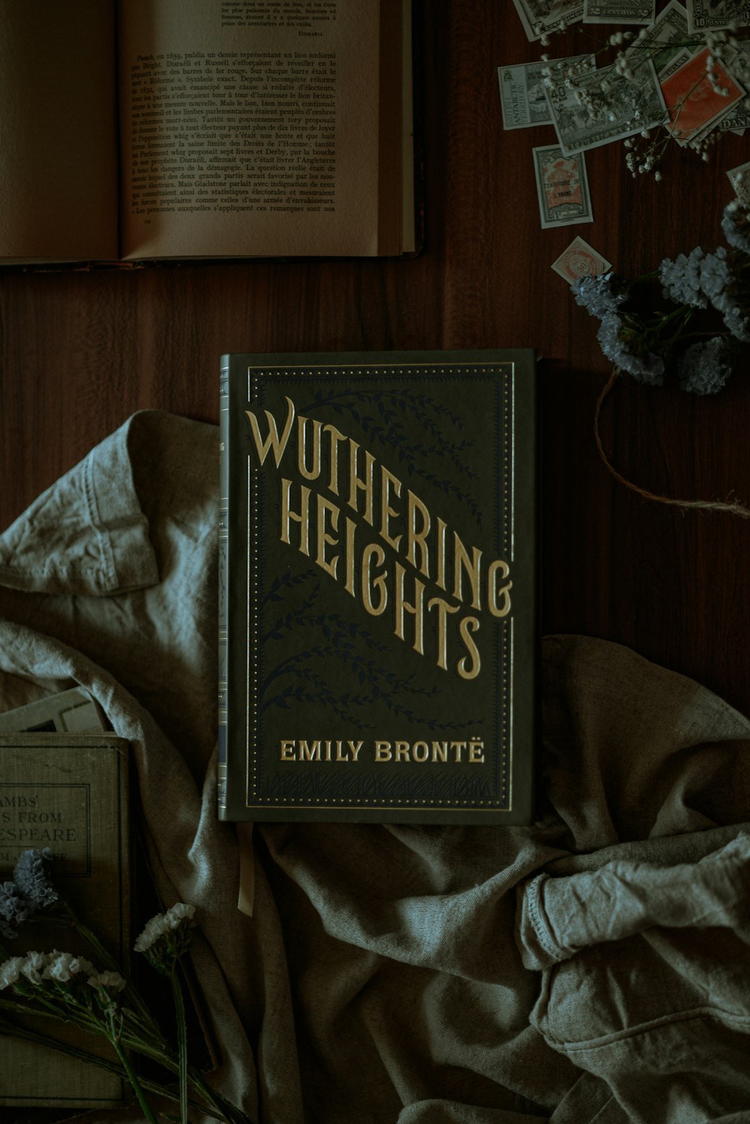 Heathcliff (Image Credits: Unsplash)