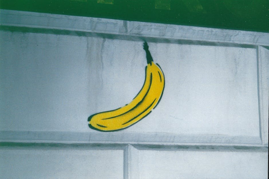 The Velvet Underground & Nico (Image Credits: Pexels)