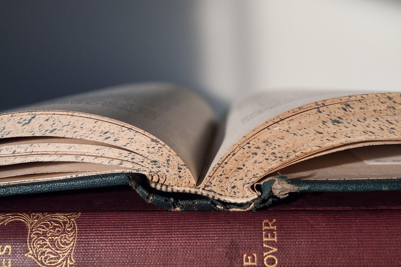 Literature's Lasting Echo (Image Credits: Pixabay)