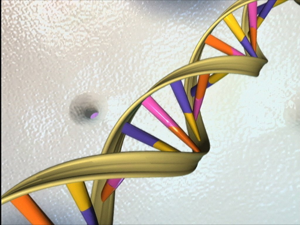 DNA's Double Helix Unlocks Heredity (Image Credits: Flickr)