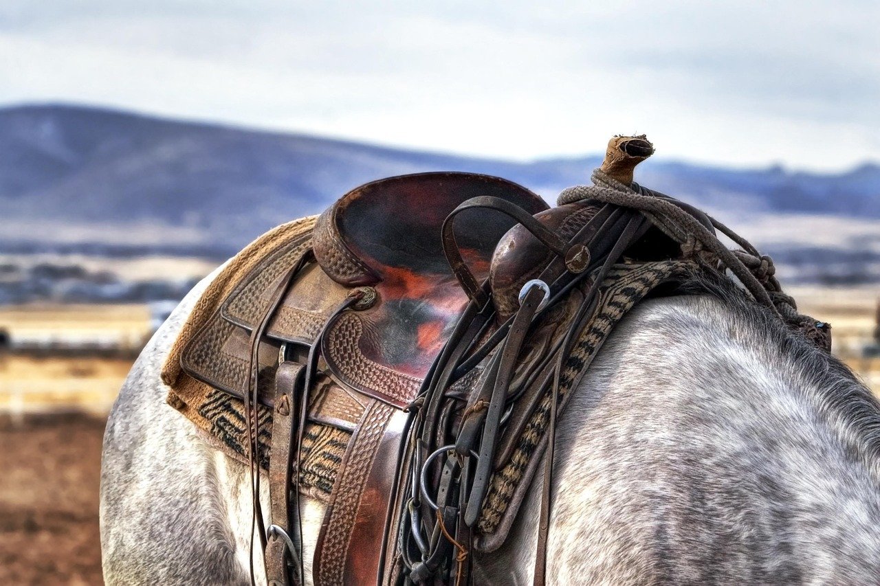 The Magnificent Seven (1960) – Elmer Bernstein (Image Credits: Pixabay)