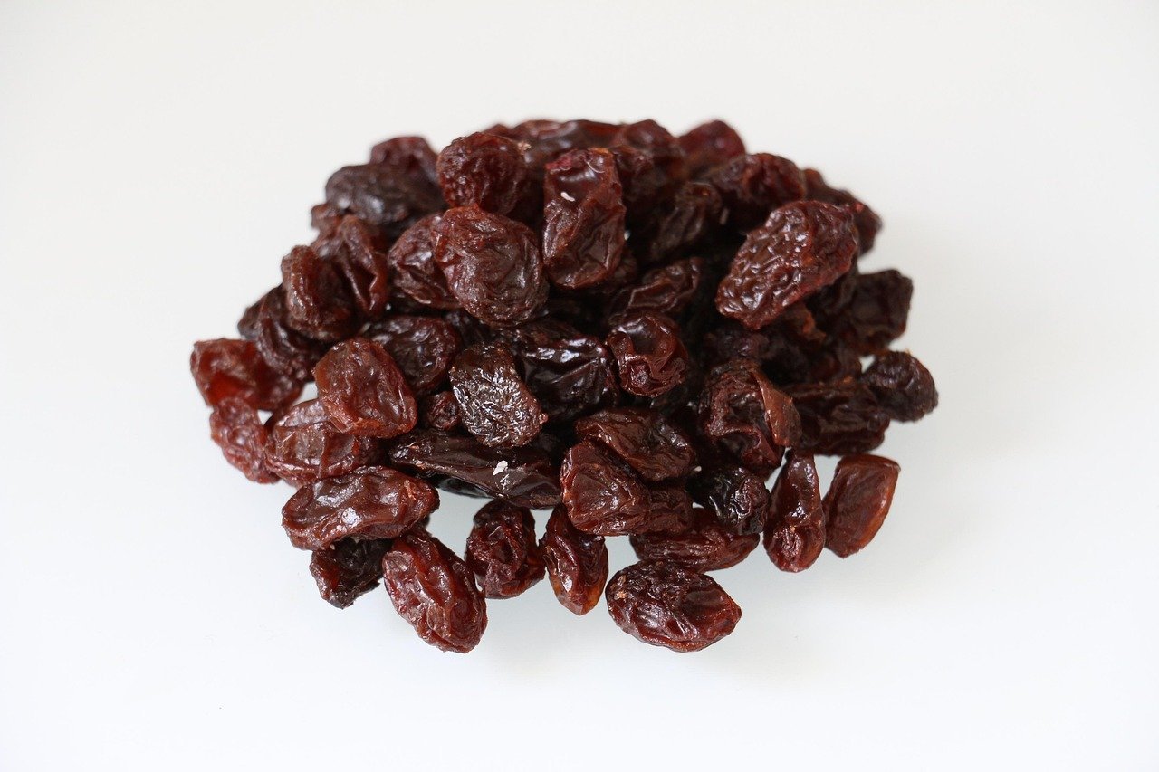 California Raisins (1986) (Image Credits: Pixabay)