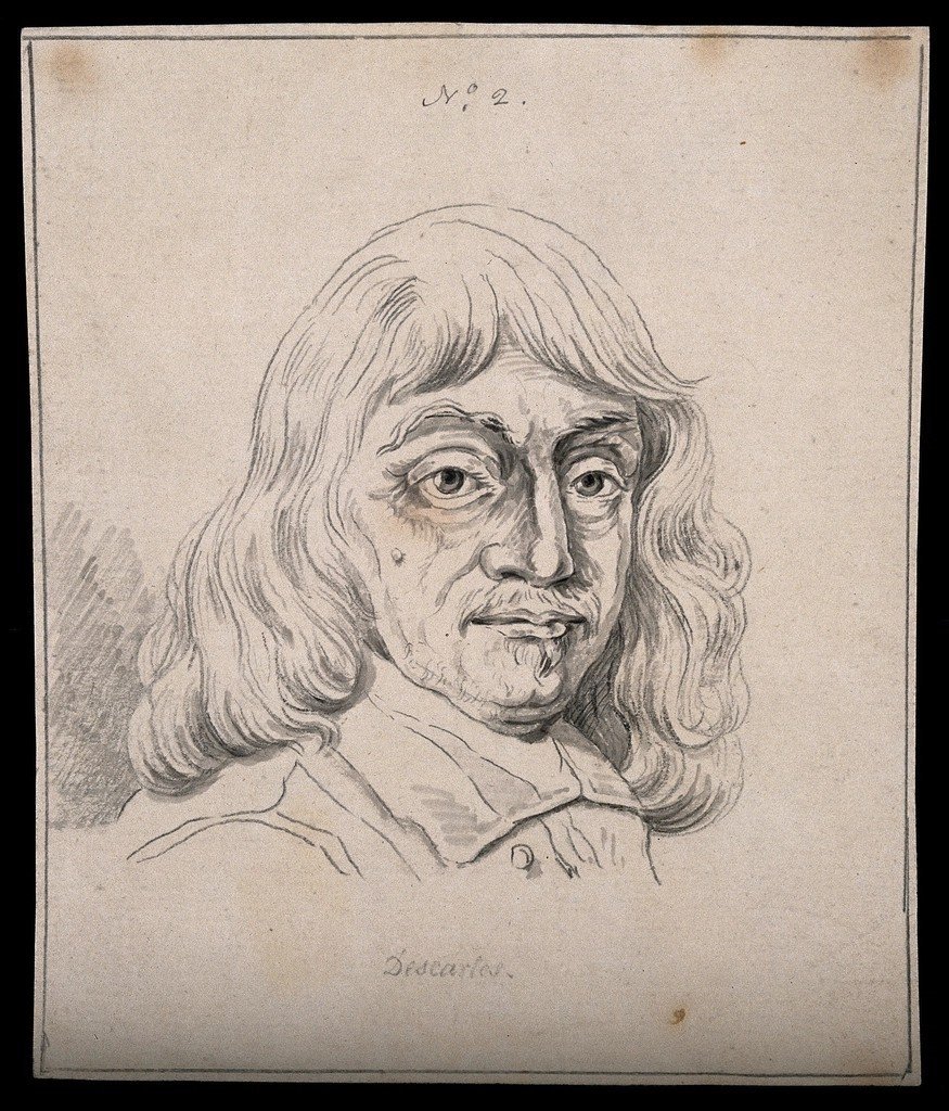 Descartes' Methodical Doubt and Cogito (Image Credits: Rawpixel)