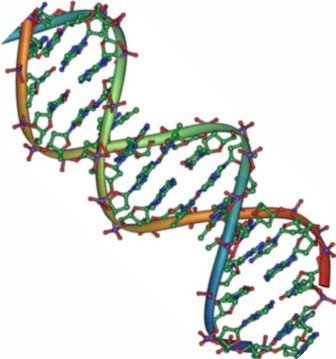 The Double Helix Structure of DNA (By Jerome Walker,Dennis Myts, Public domain)