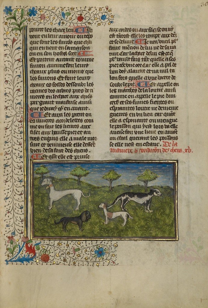 Medieval Folktales and Sagas (Image Credits: Rawpixel)