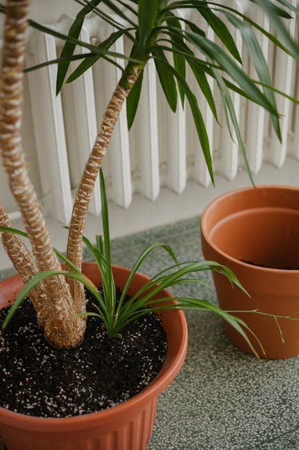1. Adding Gravel to Pot Bottoms (Image Credits: Pexels)
