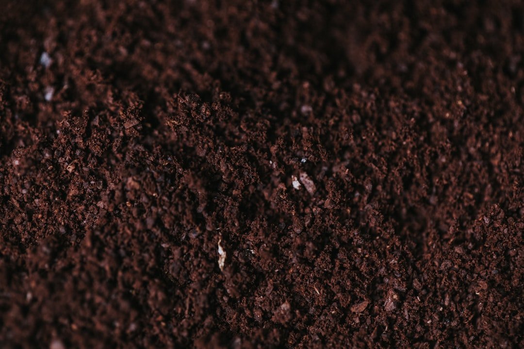 3. Sprinkling Coffee Grounds on Soil (Image Credits: Unsplash)