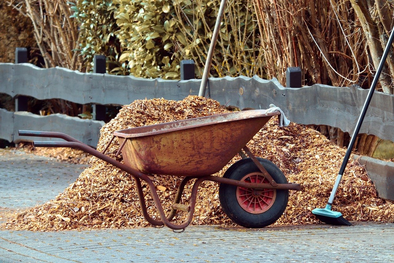 10. Volcano Mulching Against Stems (Image Credits: Pixabay)