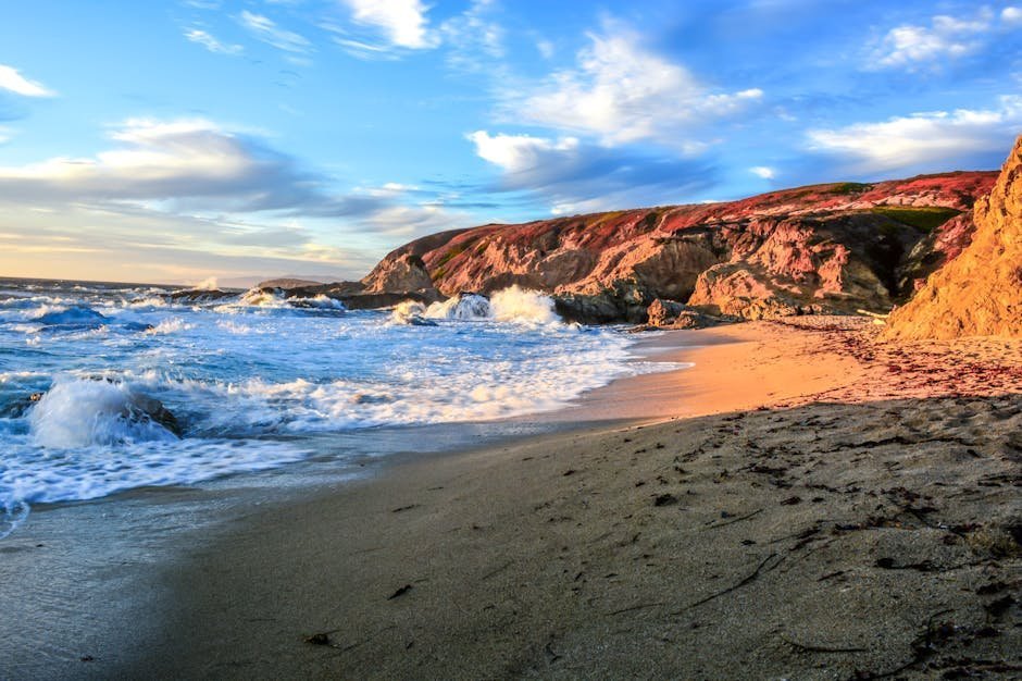 Bodega Dunes Campground (Image Credits: Pexels)