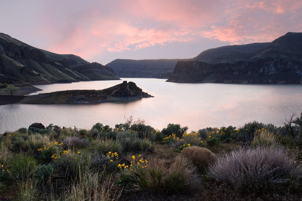 Blair Valley Campground (Image Credits: Flickr)