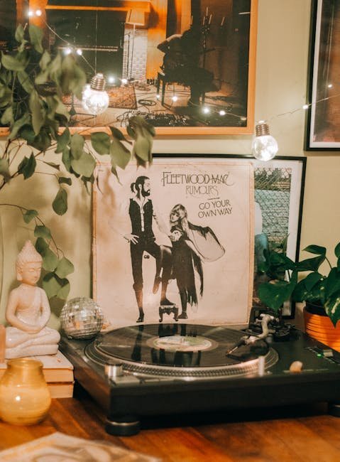 Silver Springs by Fleetwood Mac (Image Credits: Pexels)