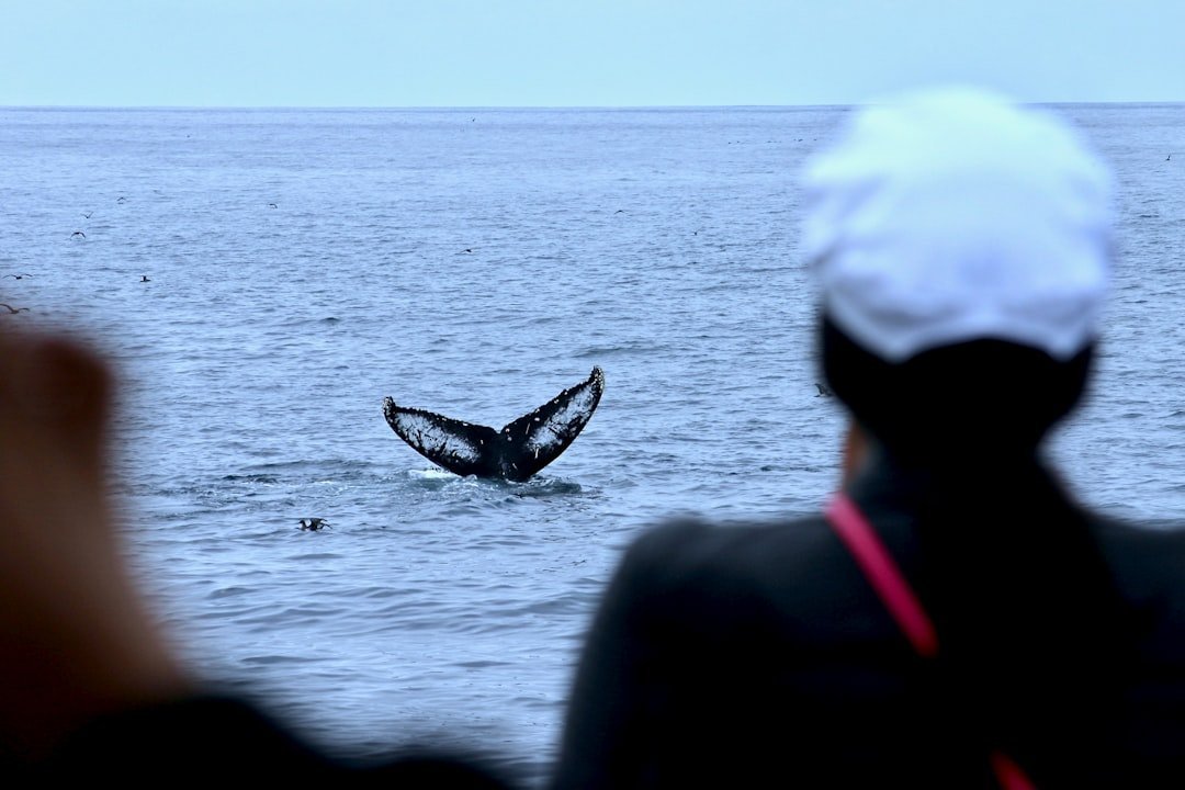 Captain Ahab in Moby-Dick by Herman Melville (Image Credits: Unsplash)