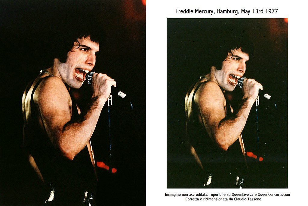 Freddie Mercury (Image Credits: Flickr)