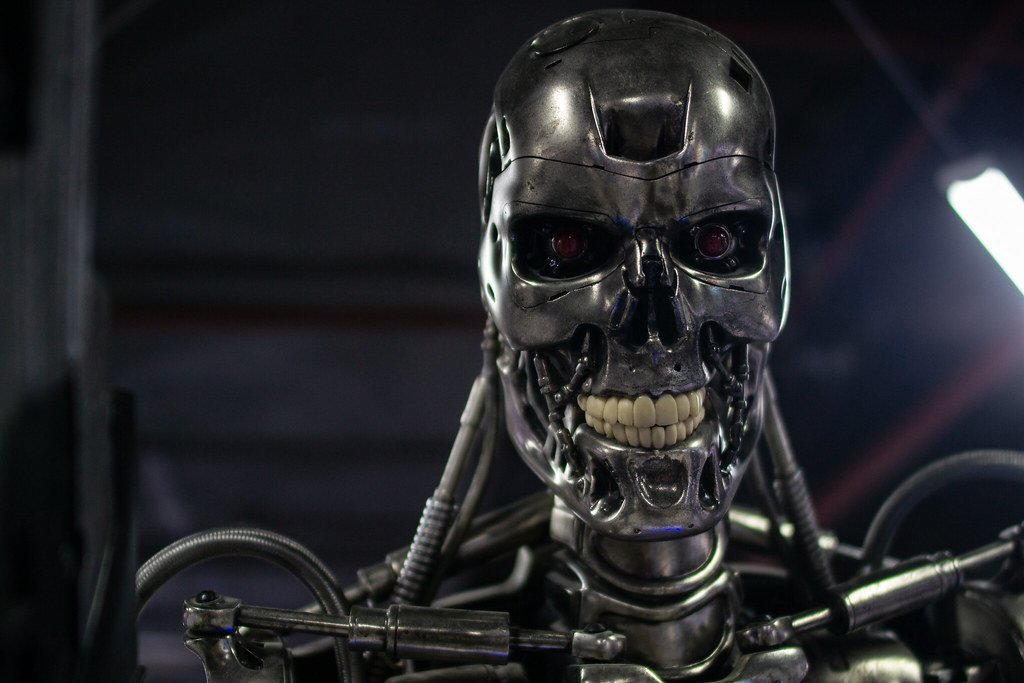 14. “Hasta la Vista, Baby” (dmoberhaus, Flickr, CC BY 2.0)