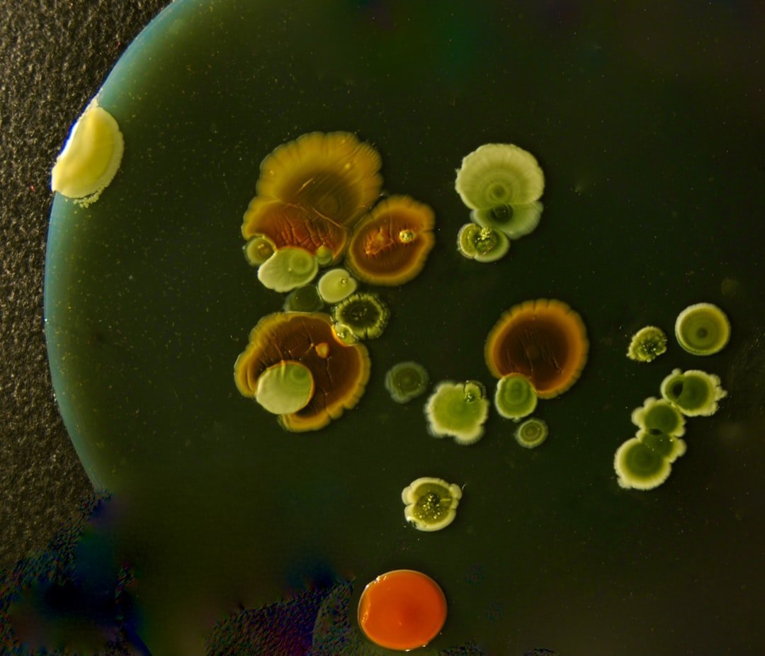 1. Penicillin by Alexander Fleming (1928) (Image Credits: Unsplash)